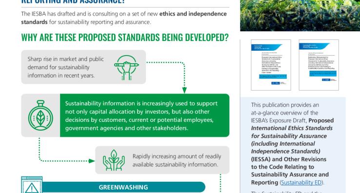 FINAL - IESBA Sustainability Standards  - Executive Summary.pdf