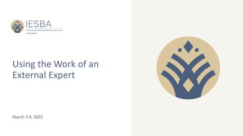 IESBA Webinar - Using the Work of an External Expert.pdf