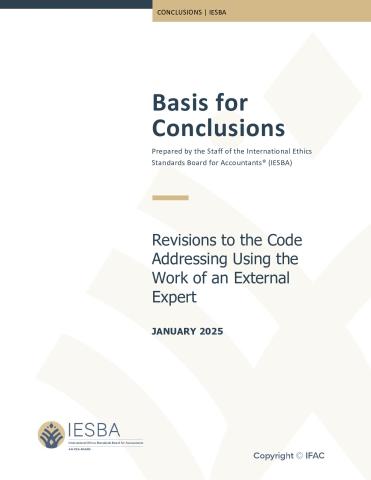 Using the Work of an External Expert - Basis for Conclusions.pdf