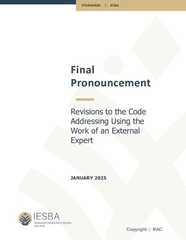 Using the Work of an External Expert - Final Pronouncement_1.pdf