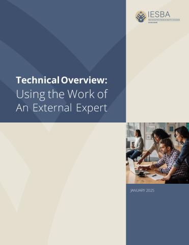 Using the Work of an External Expert Technical Overview.pdf